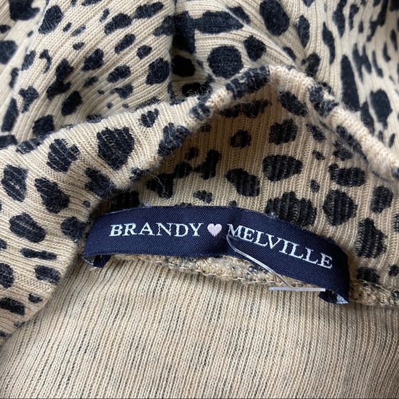 Brandy Melville Daniella CheetahLeopard Turtleneck - Picture 3 of 5